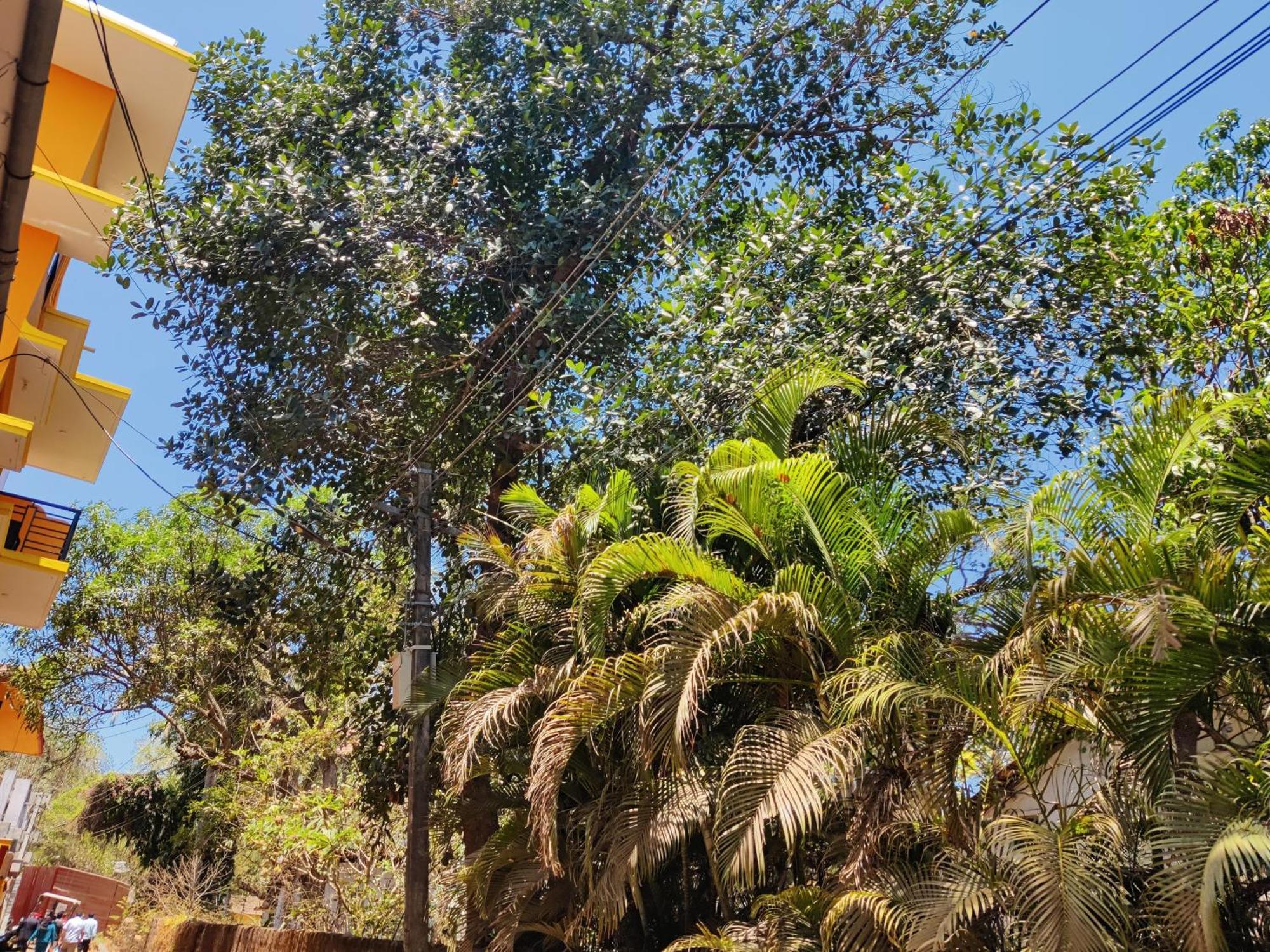 Sai Guru Guest House Anjuna Exterior photo